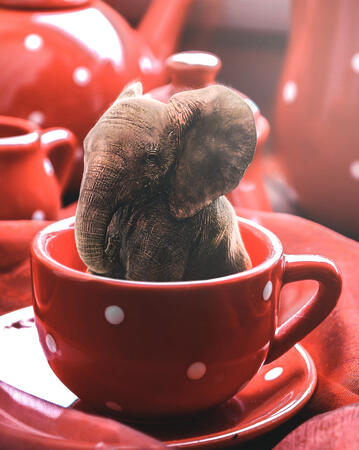 Teacup Elephant