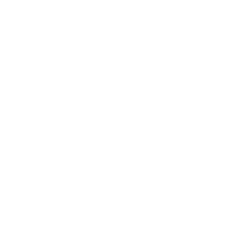 Pixelsquid